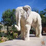Elefant 320x312